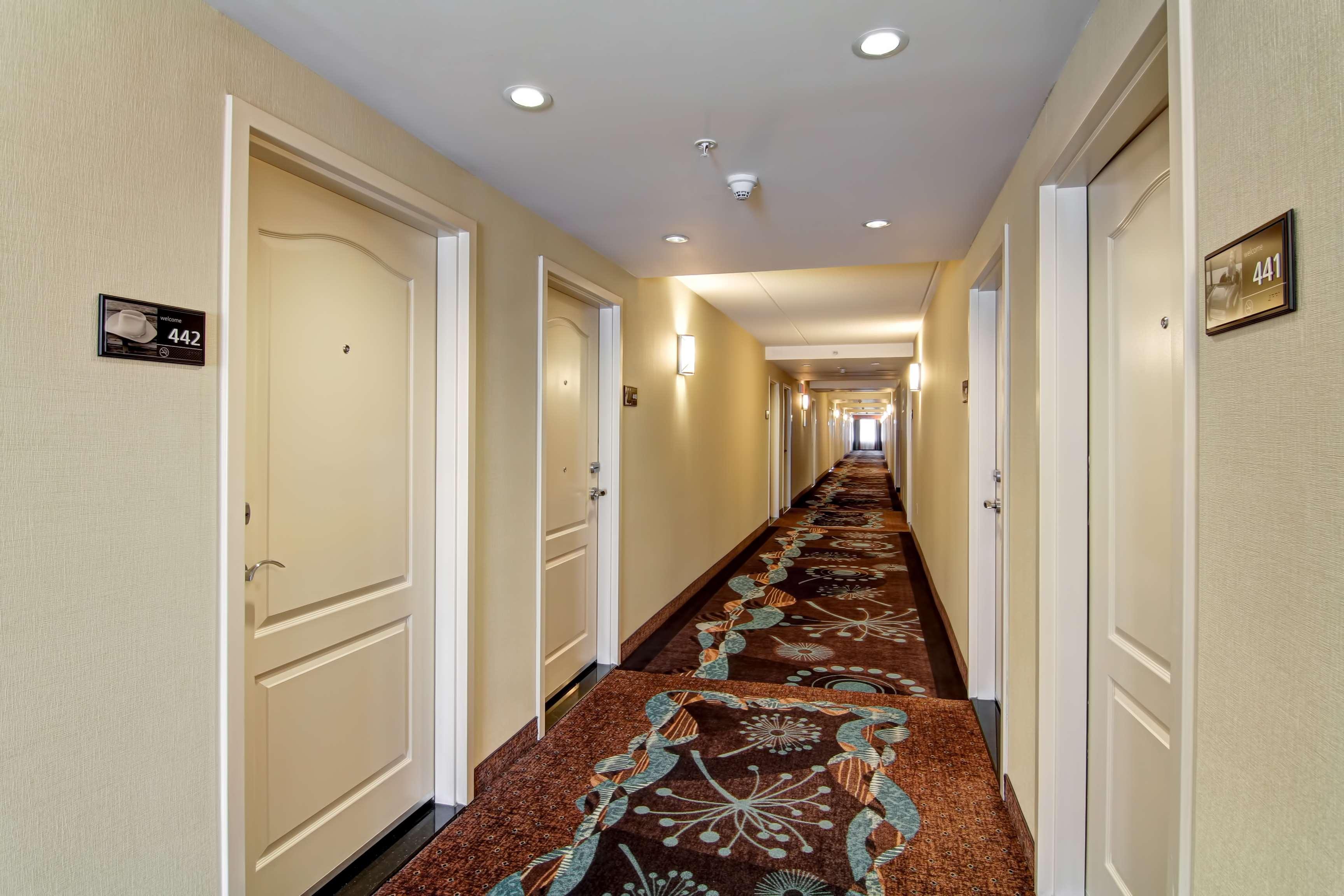 Hampton Inn By Hilton Toronto Airport Corporate Centre Экстерьер фото